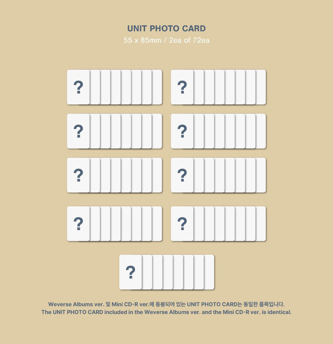 &TEAM - BACK TO LIFE (1ST KOREAN MINI ALBUM) (PHOTOCARD BOX) (WEVERSE ALBUMS VER.) Nolae