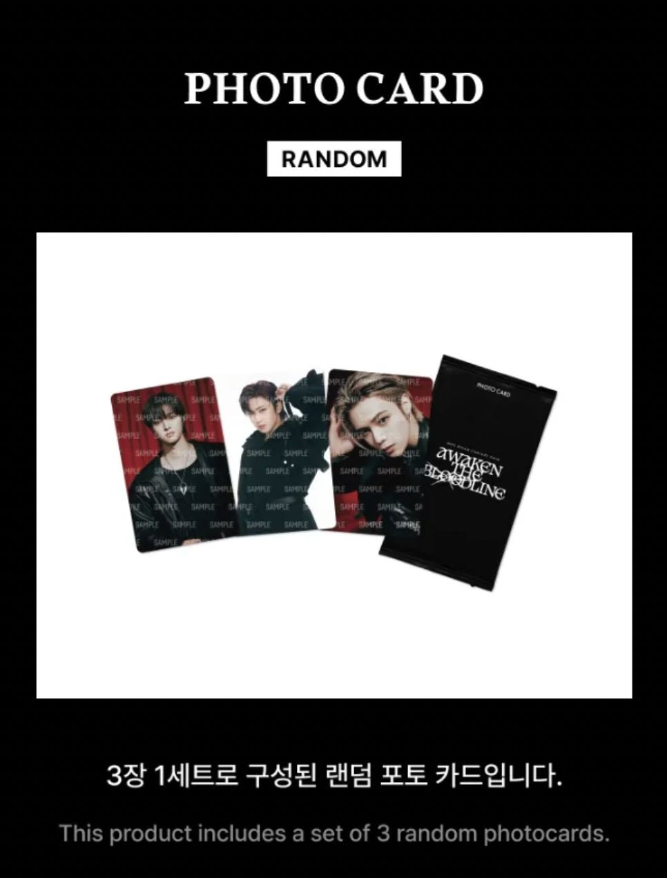 &TEAM - PHOTO CARD (2025 CONCERT TOUR 'AWAKEN THE BLOODLINE' OFFICIAL MD) Nolae