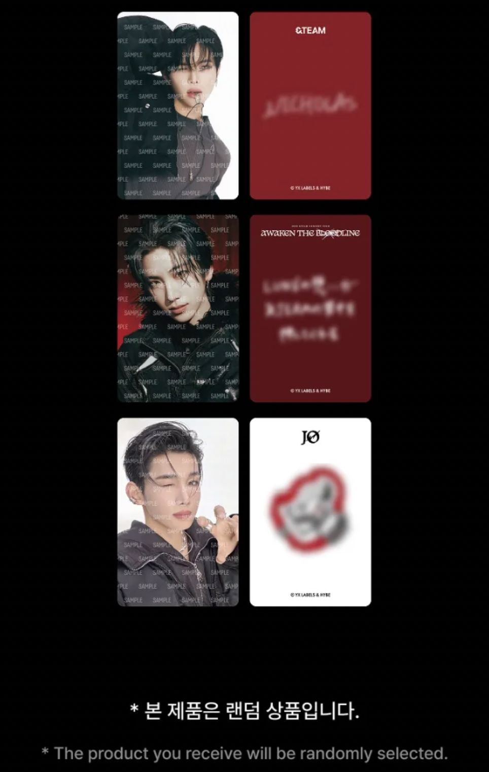 &TEAM - PHOTO CARD (2025 CONCERT TOUR 'AWAKEN THE BLOODLINE' OFFICIAL MD) Nolae