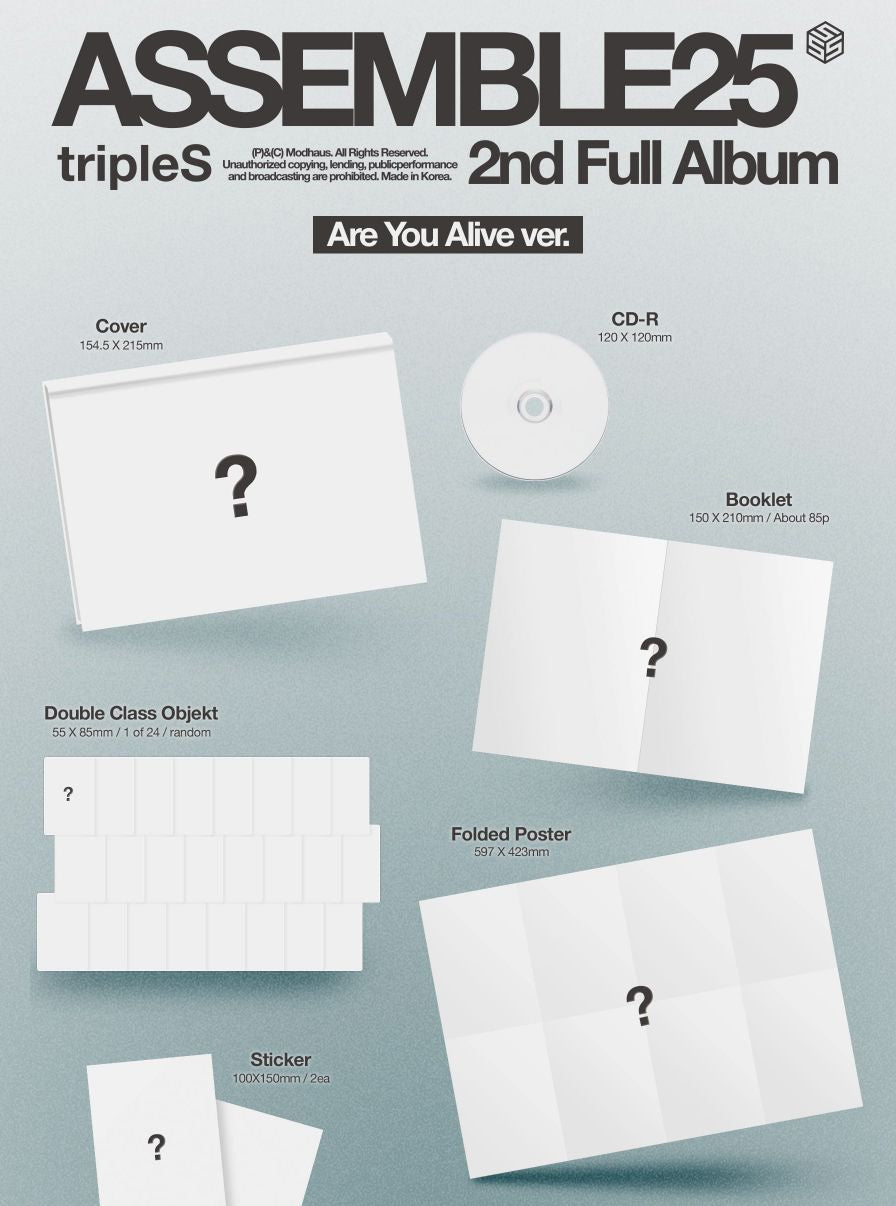 TRIPLE S - ASSEMBLE25 Nolae