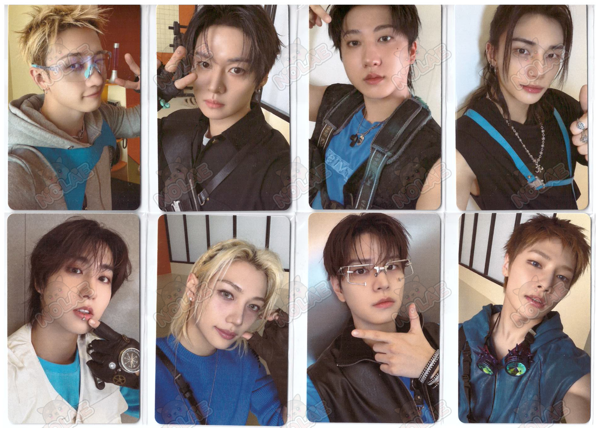 STRAY KIDS - THIS & THAT - TARJETA FOTOGRÁFICA FANS SHOP (FANS ALBUM)