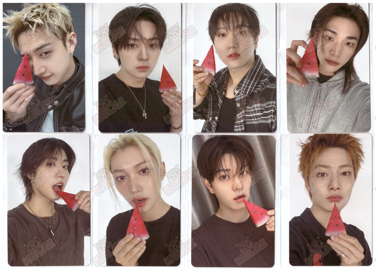 STRAY KIDS - THIS & THAT - CARTE PHOTO FANS SHOP