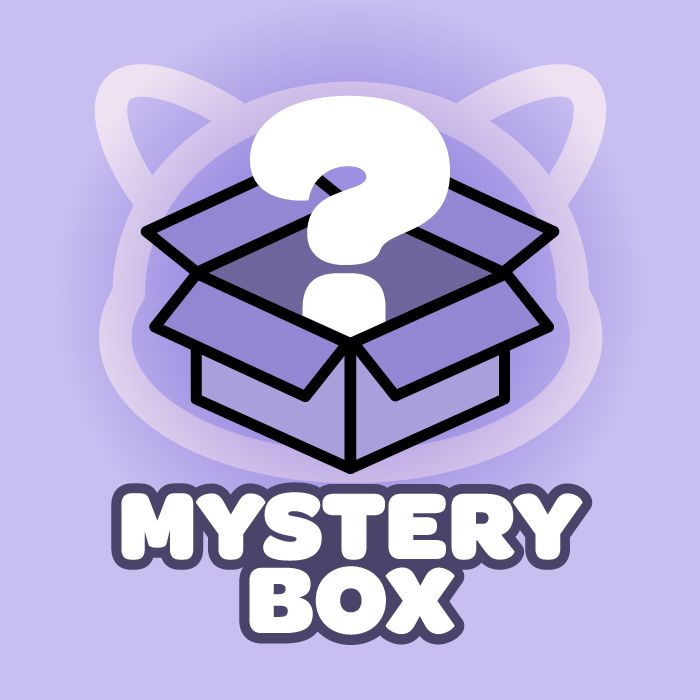 K-POP MYSTERY MERCH BOX Nolae