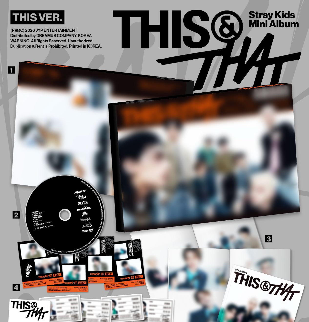 STRAY KIDS - THIS & THAT Nolae