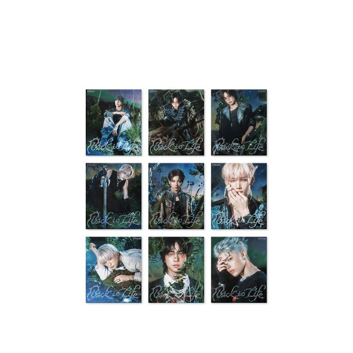 &TEAM - BACK TO LIFE (1ST KOREAN MINI ALBUM) (ROAR VER.) Nolae