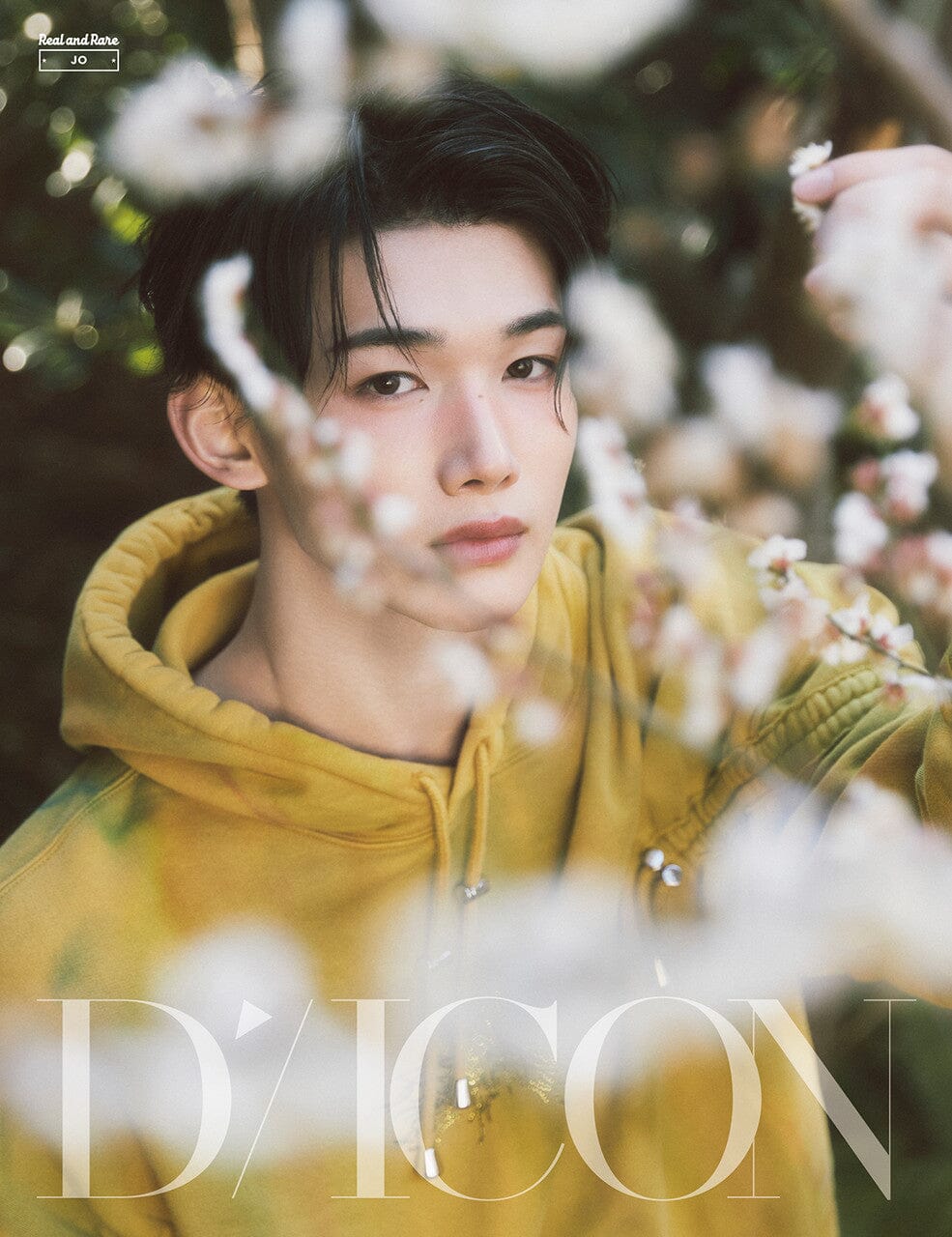 &TEAM - DICON VOLUME N°28 Nolae