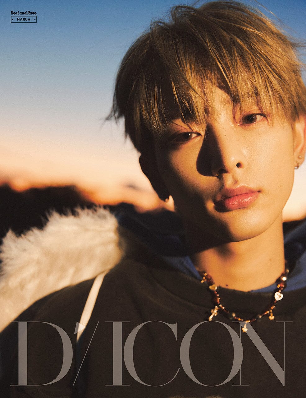 &TEAM - DICON VOLUME N°28 Nolae