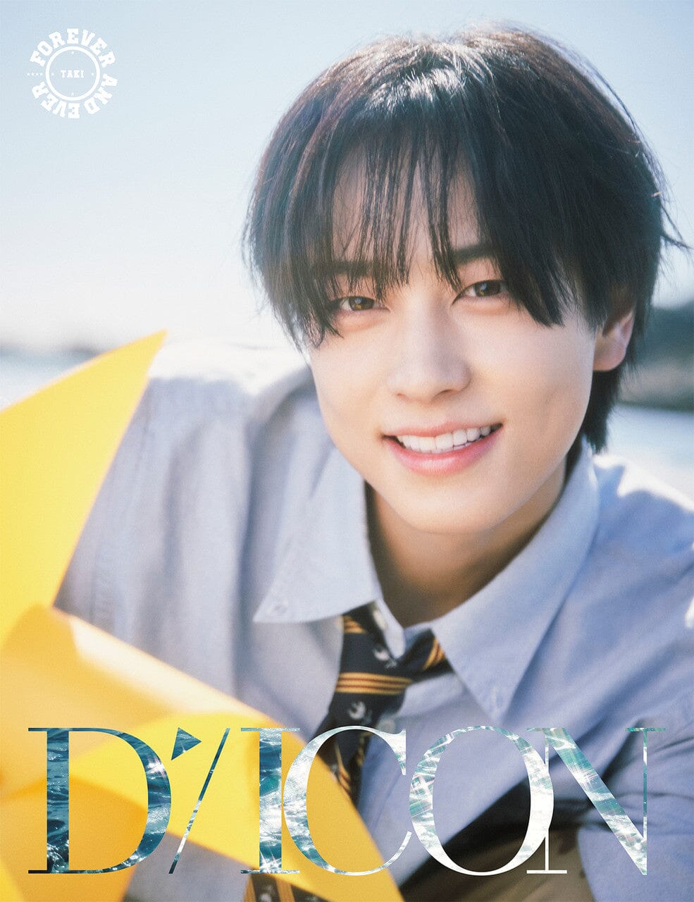 &TEAM - DICON VOLUME N°28 Nolae