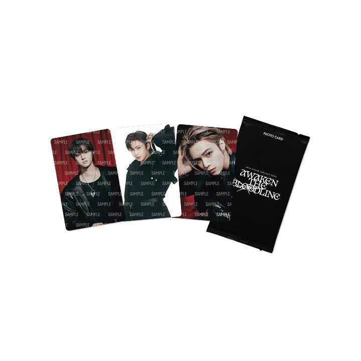 &TEAM - PHOTO CARD (2025 CONCERT TOUR 'AWAKEN THE BLOODLINE' OFFICIAL MD) Nolae